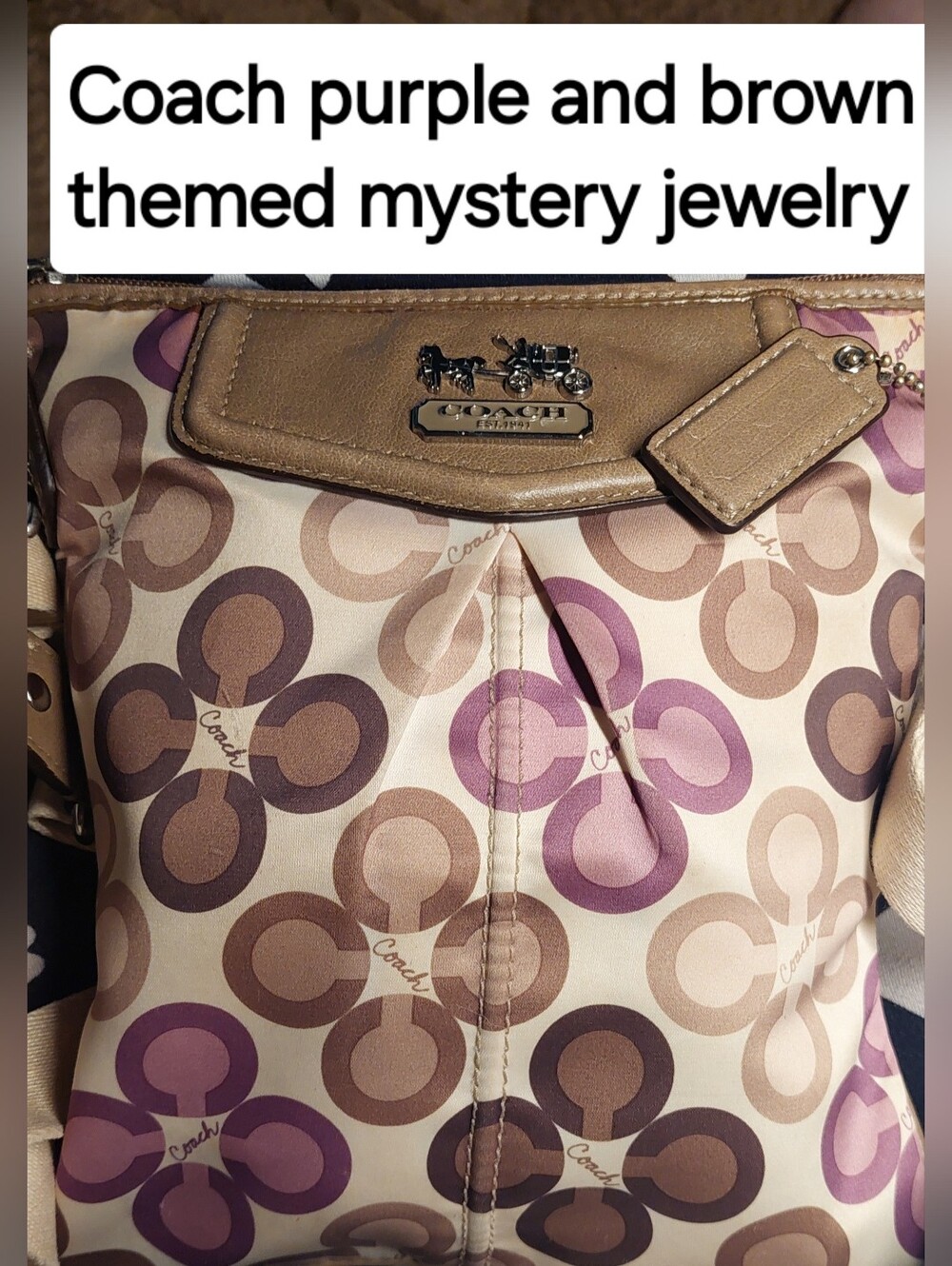COACH PURPLE AND BROWN THEMED MYSTERY JEWELRY BAG